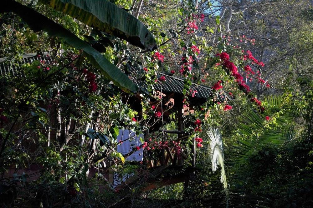 Mariri Jungle Lodge Alto Paraíso de Goiás Exteriér fotografie