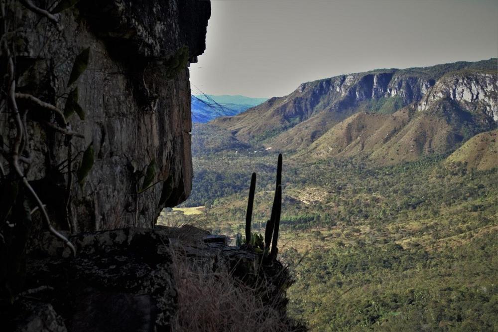 Mariri Jungle Lodge Alto Paraíso de Goiás Exteriér fotografie
