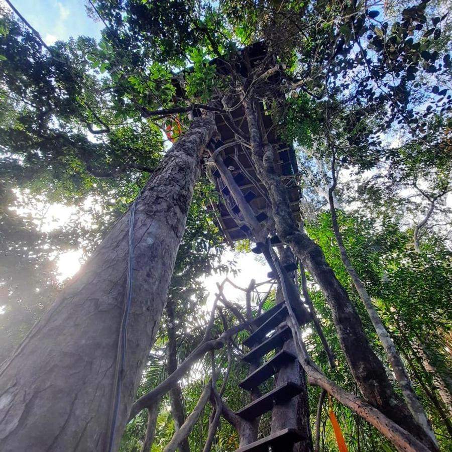 Mariri Jungle Lodge Alto Paraíso de Goiás Exteriér fotografie