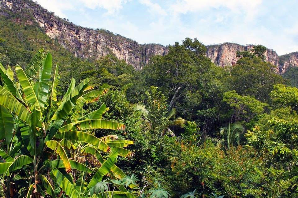 Mariri Jungle Lodge Alto Paraíso de Goiás Exteriér fotografie