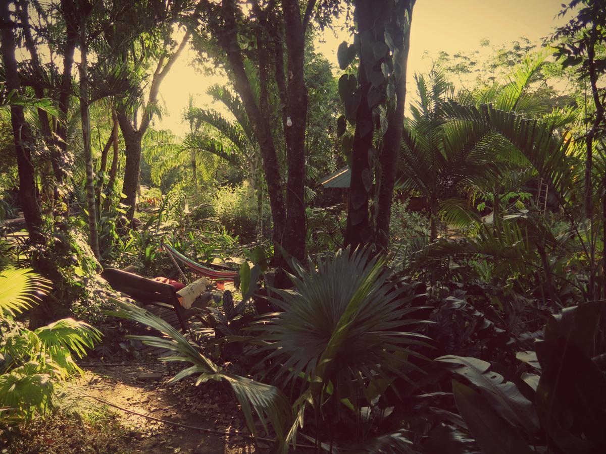 Mariri Jungle Lodge Alto Paraíso de Goiás Exteriér fotografie